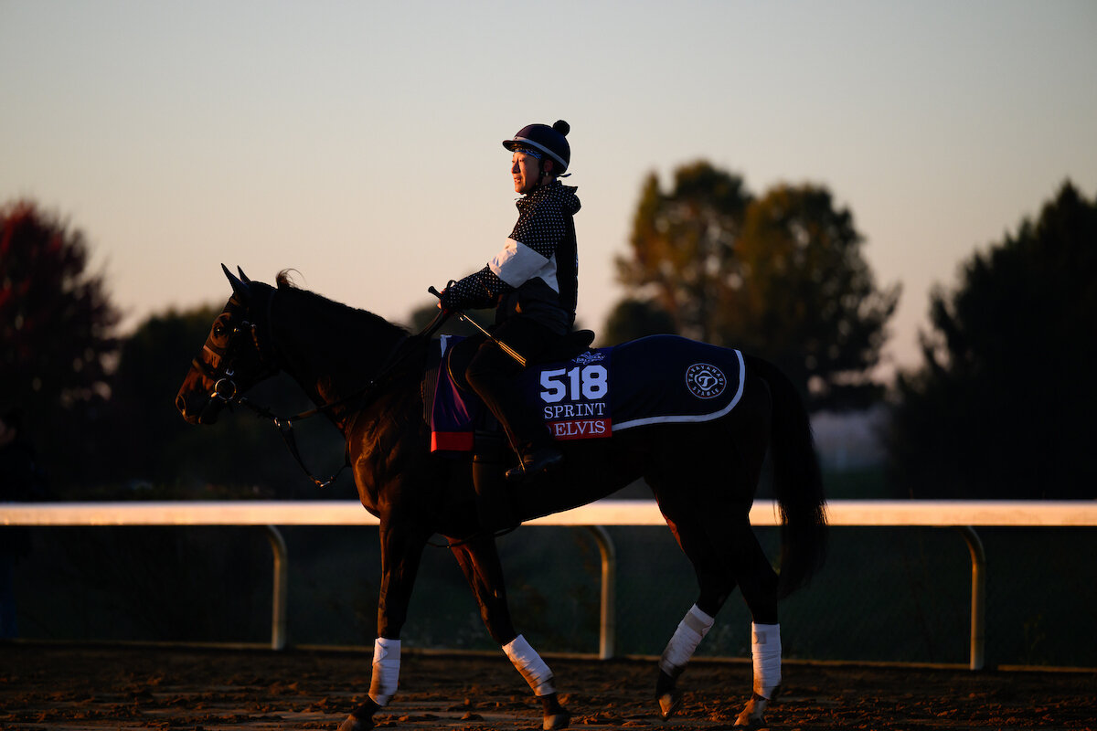 キーンランド競馬場で調整するテーオーエルビス（C）Carlos J. Calo／Eclipse Sportswire