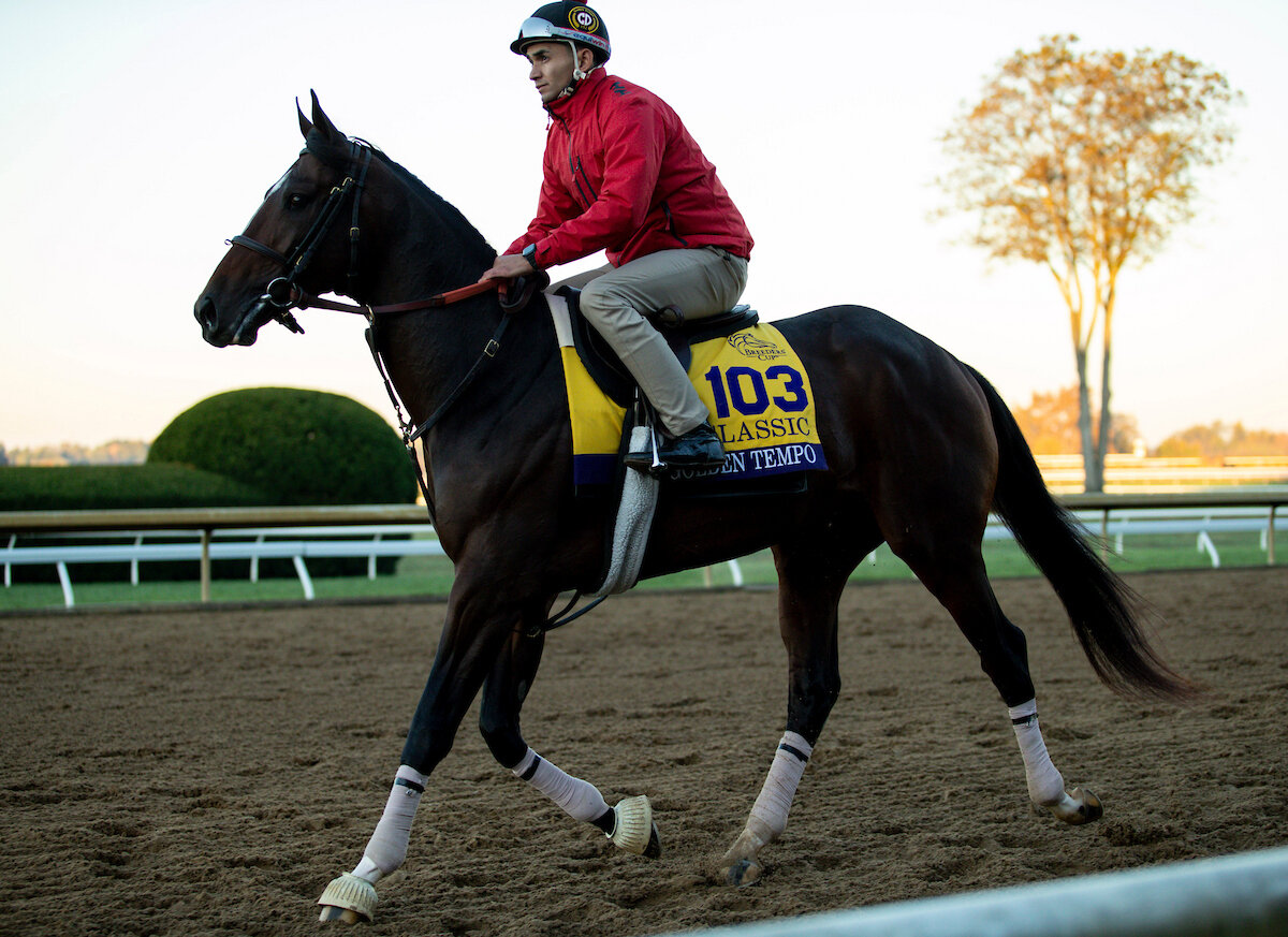 キーンランド競馬場で調整するゴールデンテンポ（C）Jetta Vaughns／Eclipse Sportswire