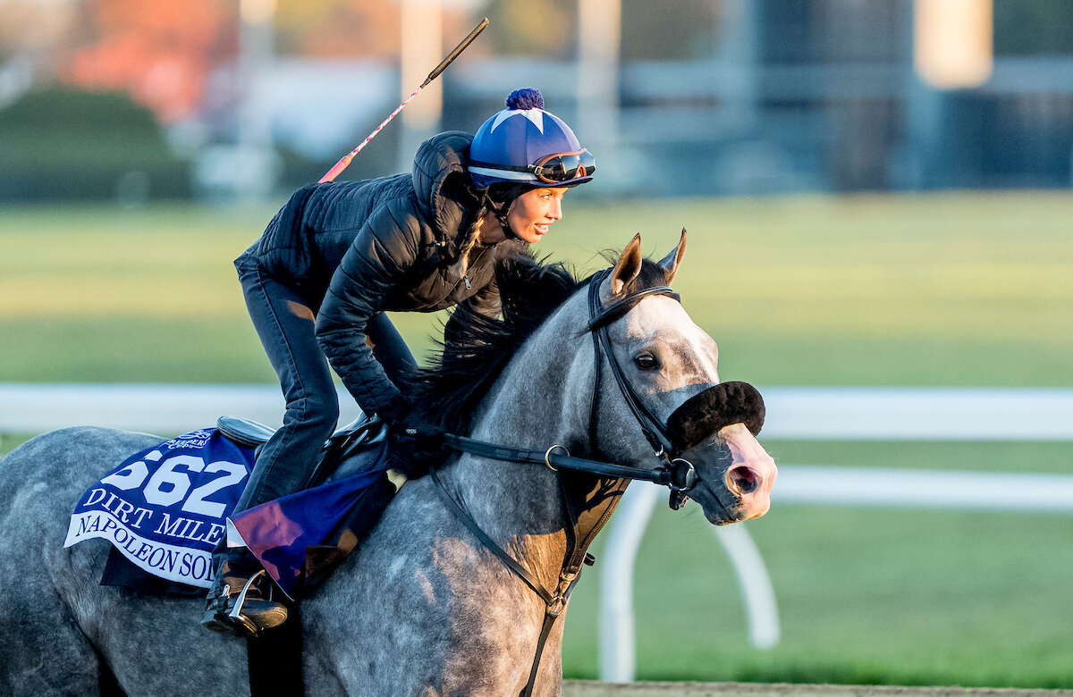 ナポレオンソロ（C）Karina Serio／Eclipse Sportswire／Breeders' Cup