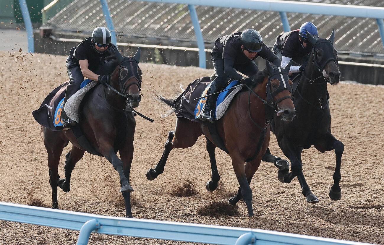 22日、美浦ウッドを3頭併せで追い切られたコスモキュランダ（右）