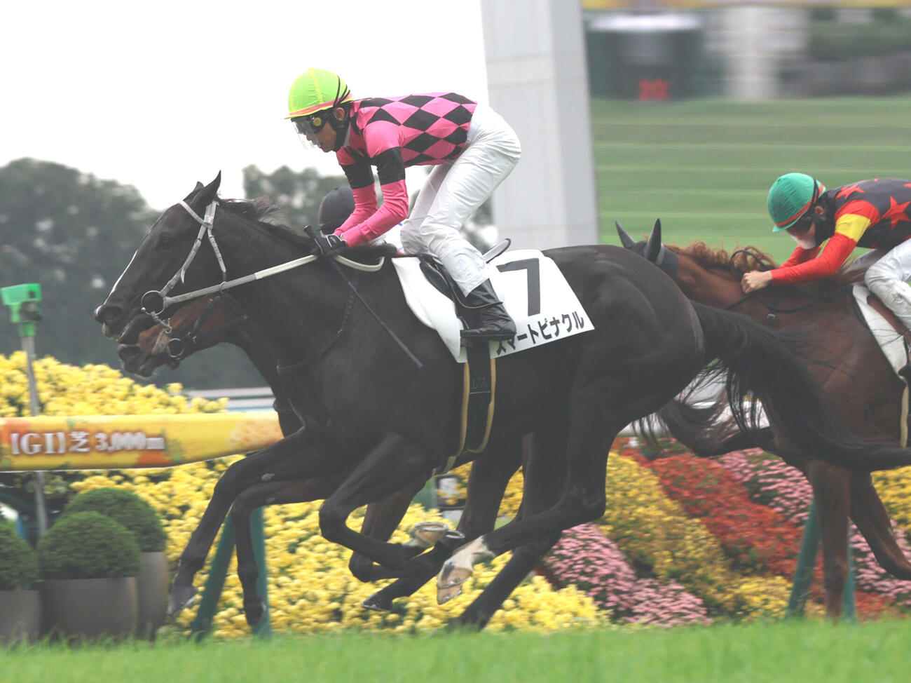 24日京都5Rの新馬戦を制したスマートピナクルと武豊騎手