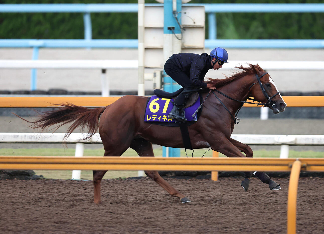 21日、CWコースを単走で追い切るレディネス
