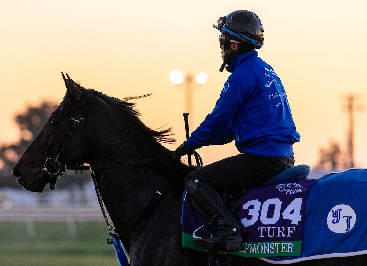 キーンランド競馬場で調整するディープモンスター（C）Candice Chavez／Eclipse Sportswire