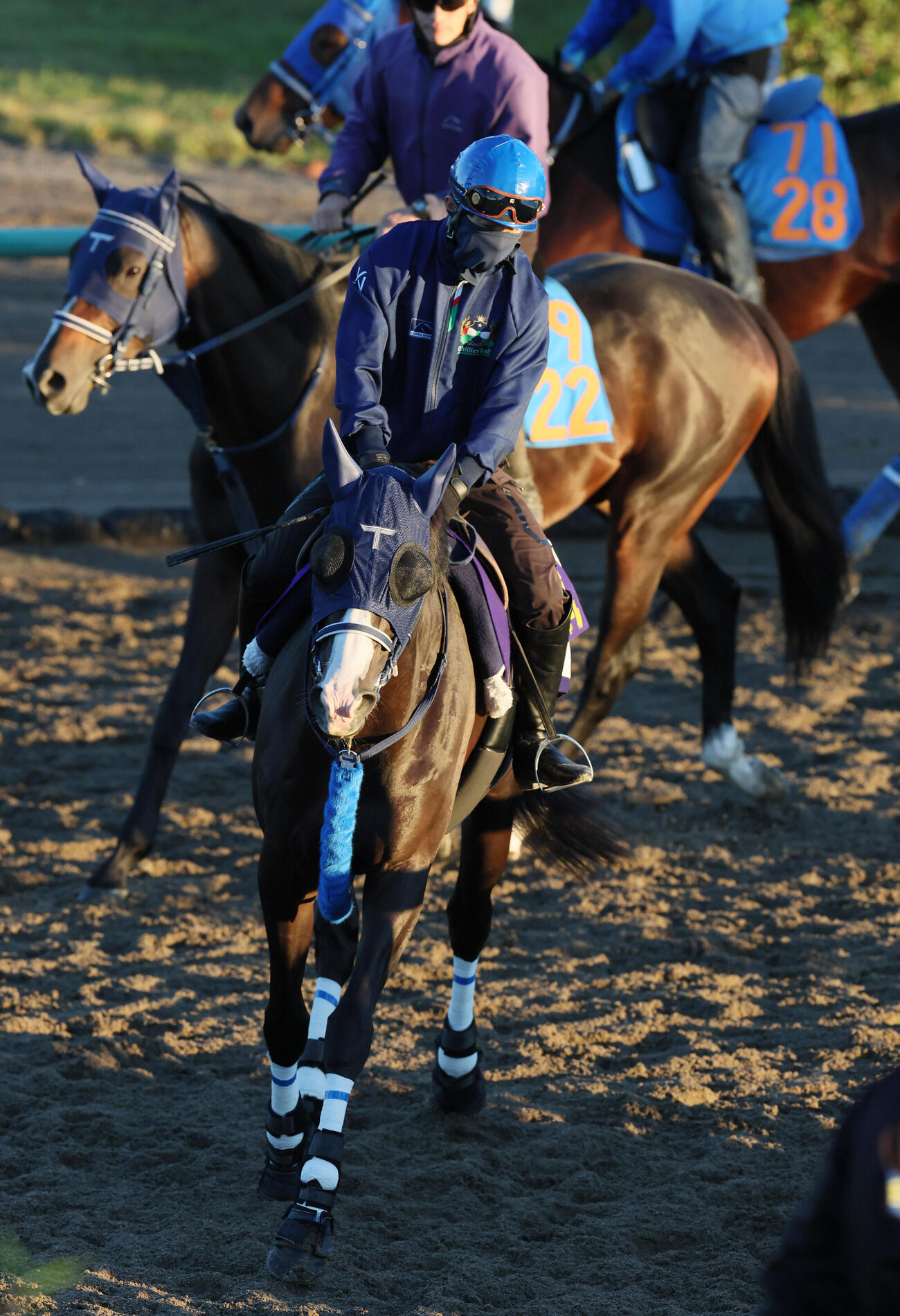 角馬場で運動するマスカレードボールと嶋田純次騎手（撮影・丹羽敏通）