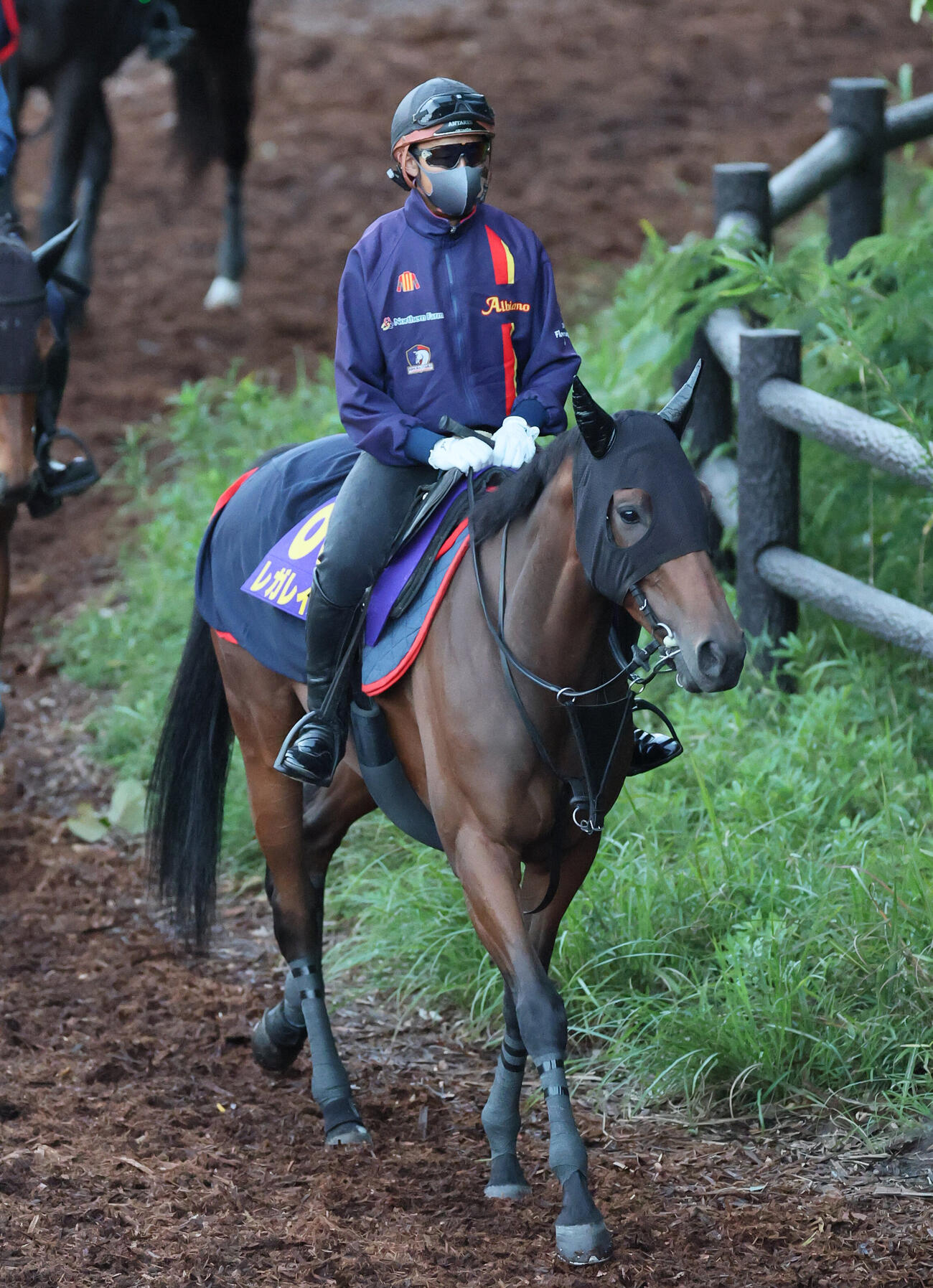 逍遥馬道で運動するレガレイラ（撮影・丹羽敏通）