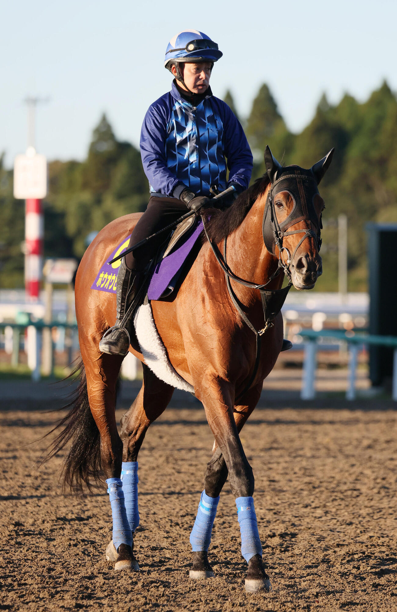 ホウオウビスケッツの最終追い切りを終えて馬場を出る岩田康誠騎手（撮影・丹羽敏通）