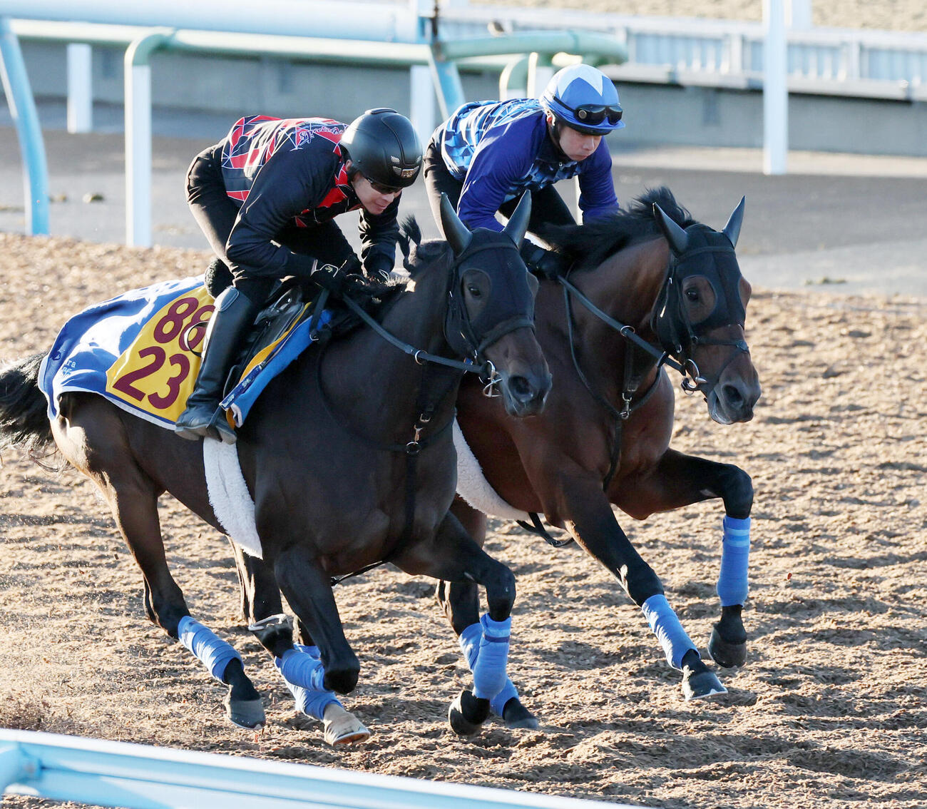ホウオウビスケッツ（右）は岩田康誠騎手を背に美浦ウッドでシャンソンドールと併せて追い切られた（撮影・丹羽敏通）
