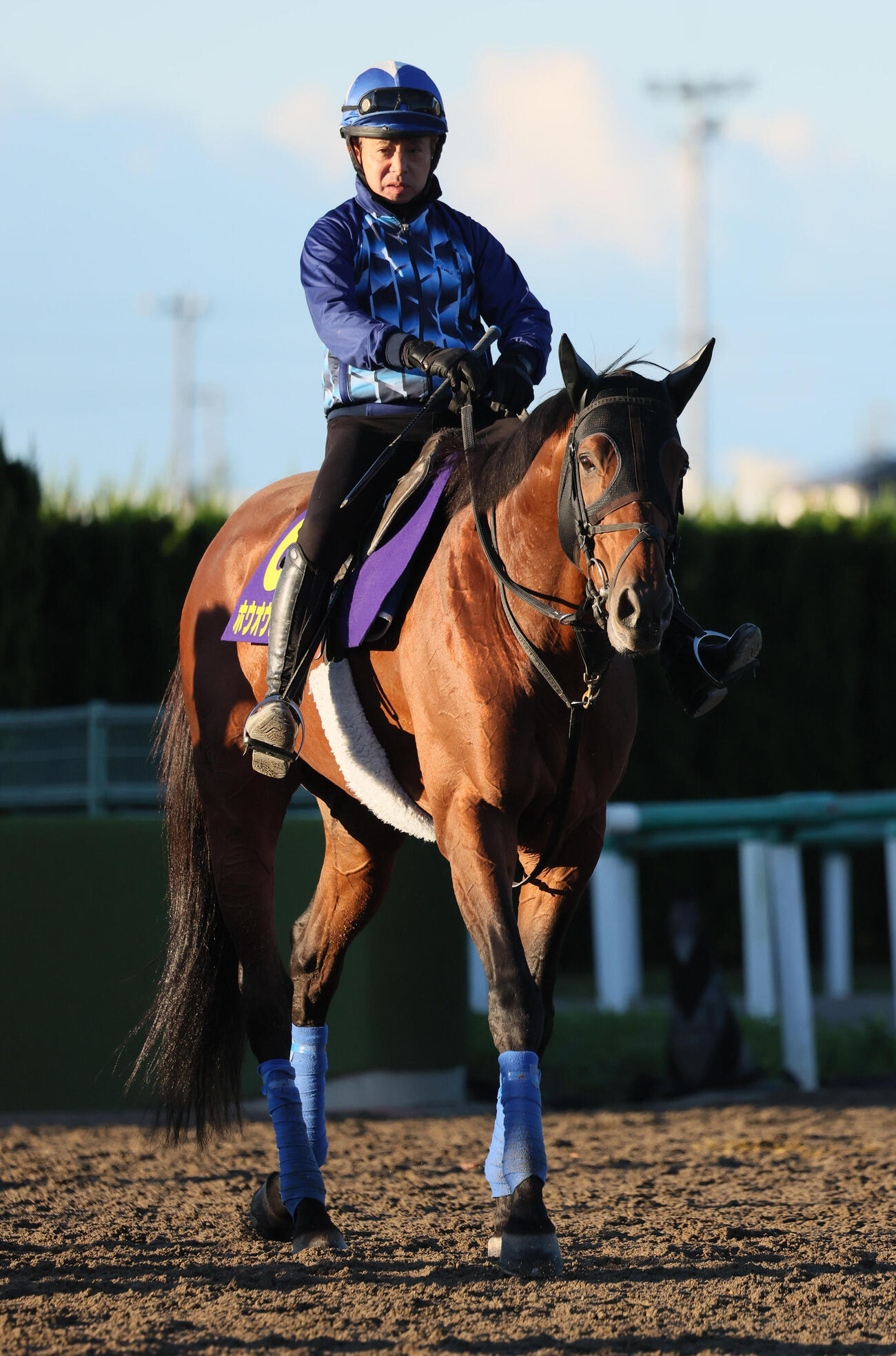 ホウオウビスケッツの最終追い切りを終えて馬場を出る岩田康誠騎手（撮影・丹羽敏通）