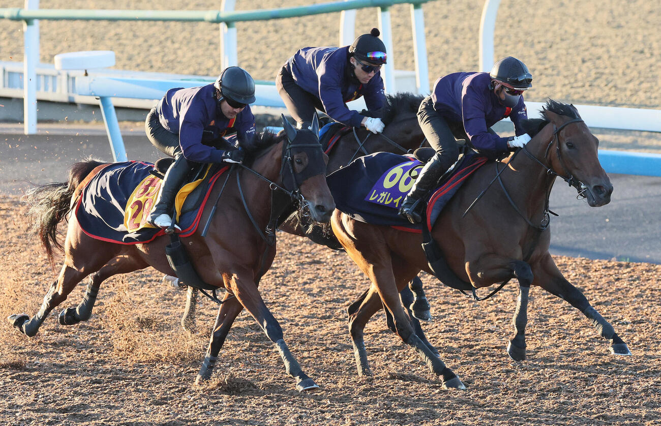 レガレイラ（中央）は美浦ウッドを3頭併せで追い切られた（撮影・丹羽敏通）