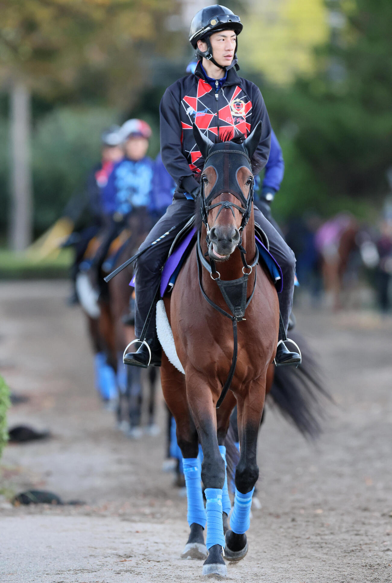 奥村武厩舎の先頭に立って乗り運動するホウオウビスケッツ（撮影・丹羽敏通）