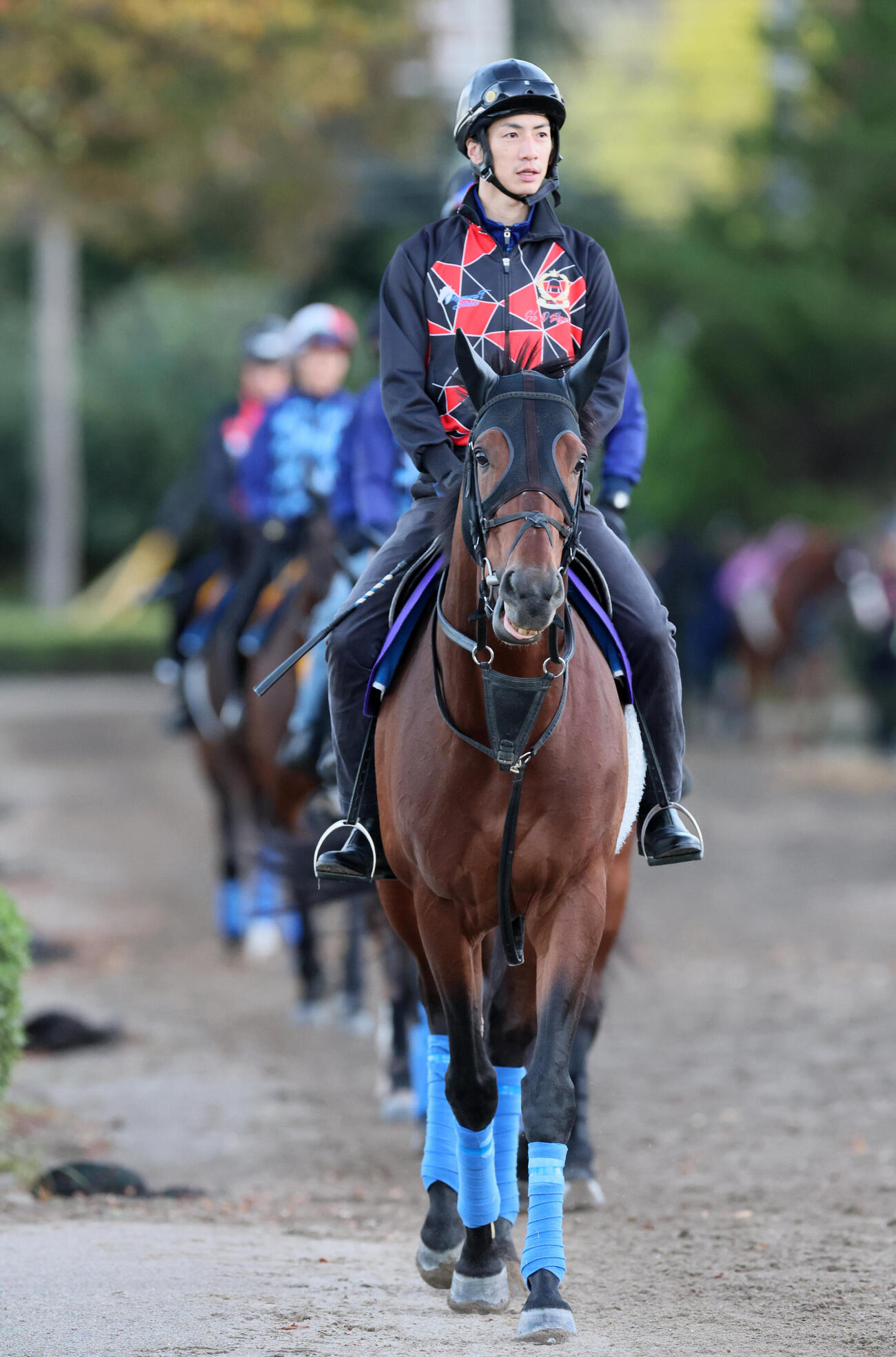奥村武厩舎の先頭に立って乗り運動するホウオウビスケッツ（撮影・丹羽敏通）