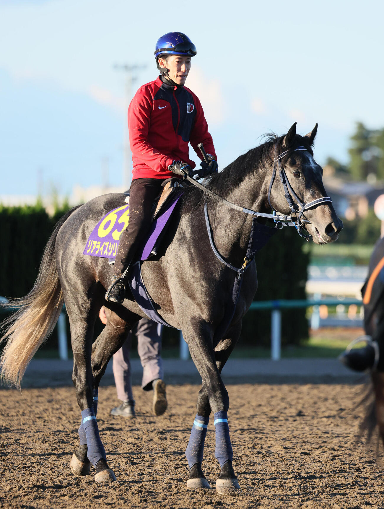 追い切りを終えて馬場を出るリアライズシリウスと津村明秀騎手（撮影・丹羽敏通）