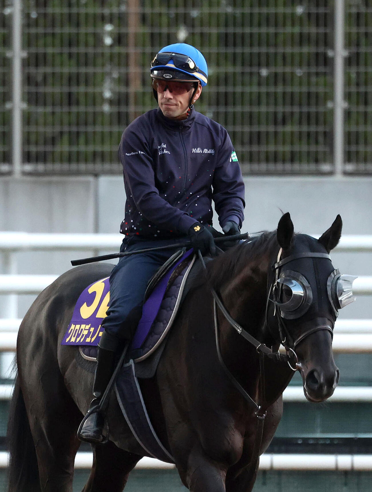 クリスチャン・デムーロ騎手を背に角馬場で運動するクロワデュノール（撮影・白石智彦）