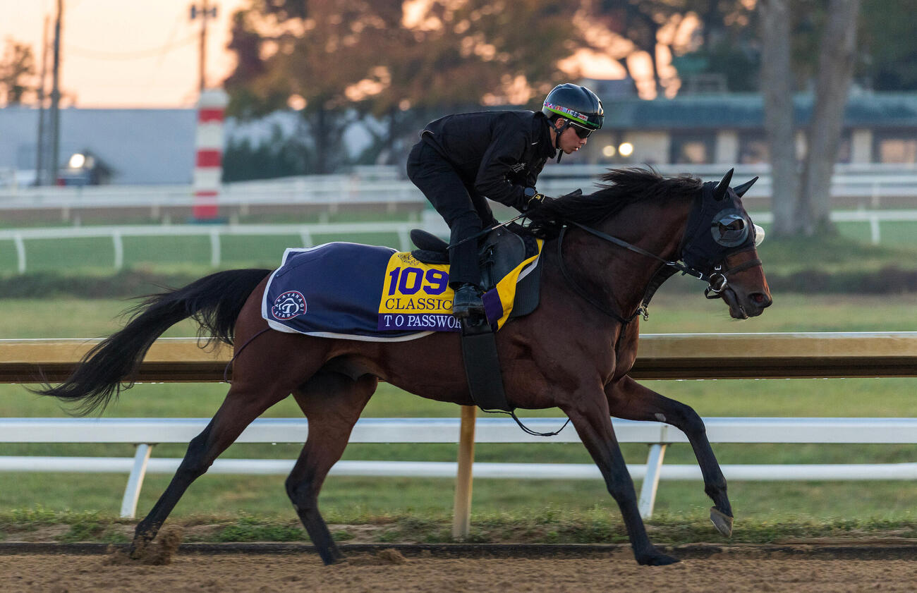 BCクラシックに出走するテーオーパスワードは木村和士騎手を背に追い切りを行う（C）Candice Chavez／Eclipse Sportswire