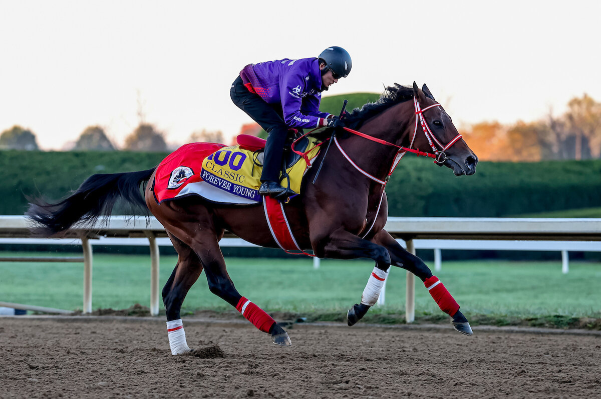 キーンランド競馬場で調整するフォーエバーヤング（C）Tim Sudduth／Eclipse Sportswire