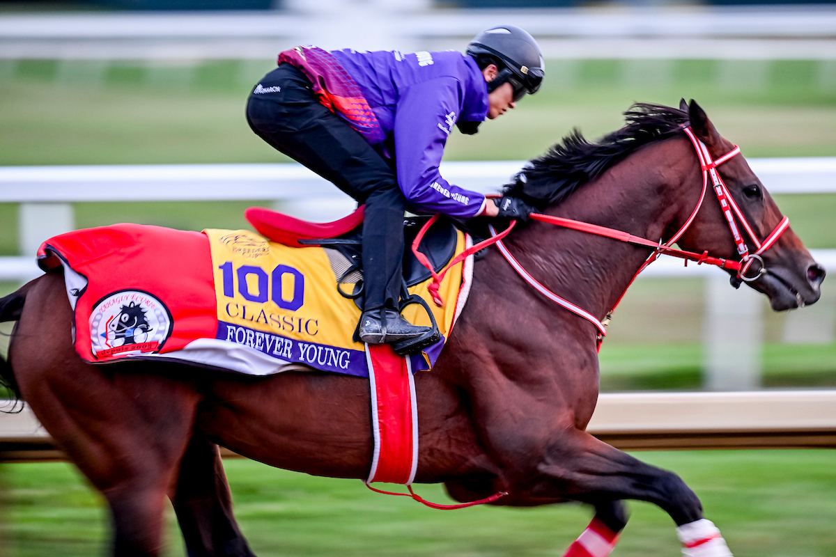 フォーエバーヤングの最終追い切り（C）Carlos J. Calo/Eclipse Sportswire