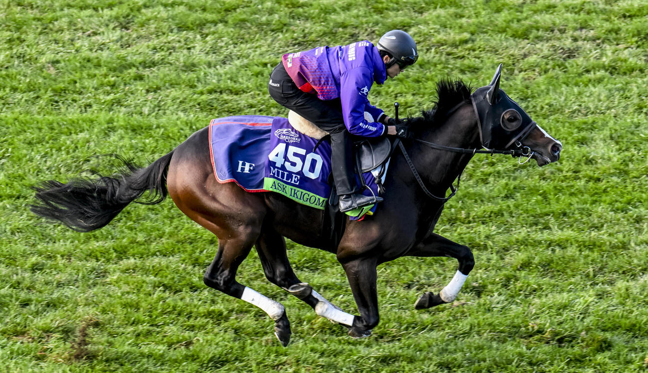 芝コースで追い切られたアスクイキゴミ（C）Jetta Vaughns／Eclipse Sportswire