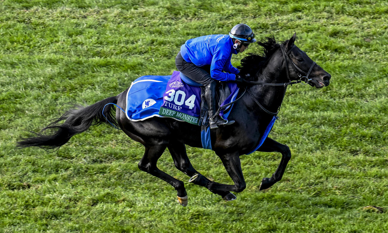 キーンランド競馬場の芝コースで調整するディープモンスター（（C）Jetta Vaughns／Eclipse Sportswire）