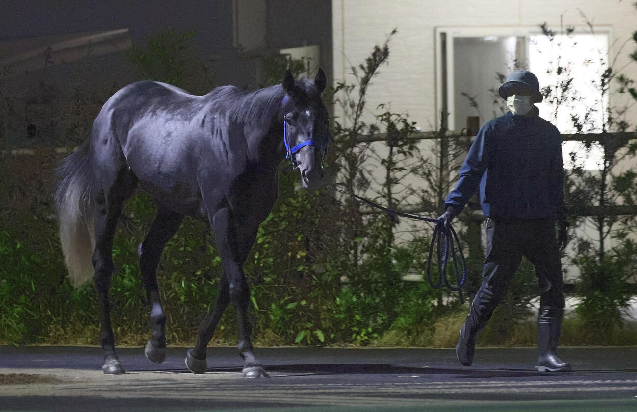 夜明け前、ウォーキングマシンへ向かうリアライズシリウス（撮影・丹羽敏通）