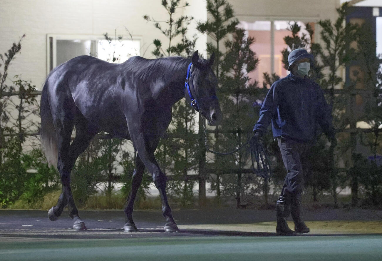 夜明け前、ウォーキングマシンへ向かうリアライズシリウス（撮影・丹羽敏通）