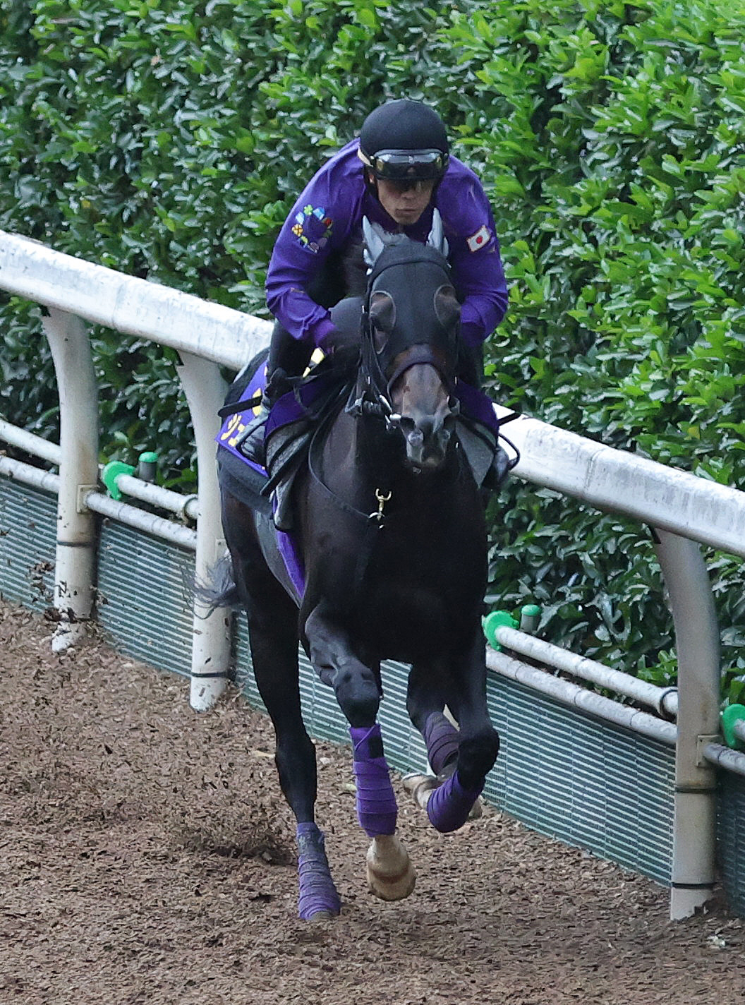 坂路を単走で追い切るジュンブロッサム（2026年10月28日撮影）