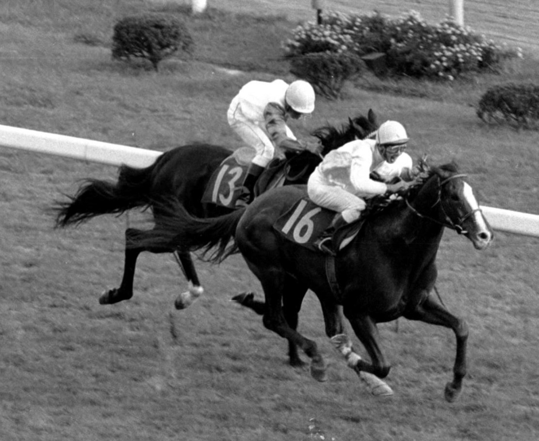 第94回天皇賞・秋を制する小島太騎手とサクラユタカオー（右）。左は2着のウインザーノット（1986年10月26日撮影）