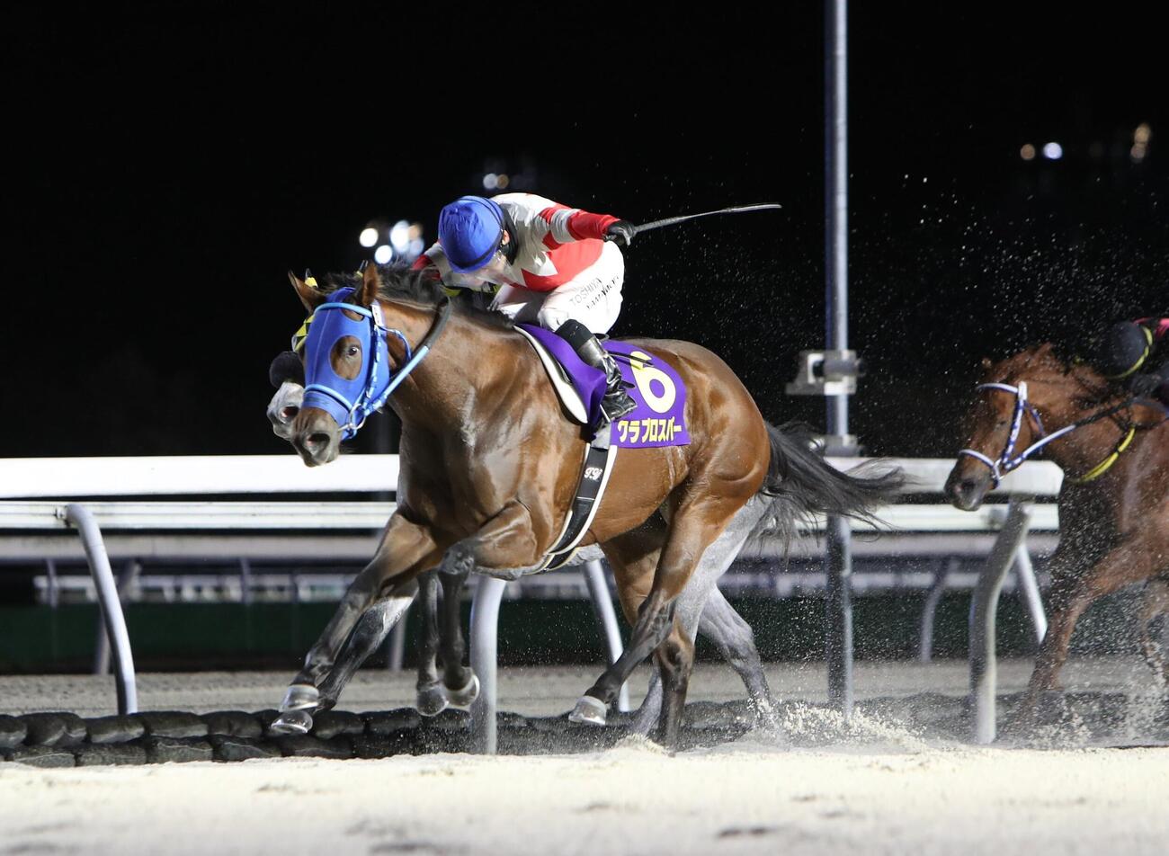 重賞連勝でエーデルワイス賞を制したクラプロスパー（騎手・山本聡哉）