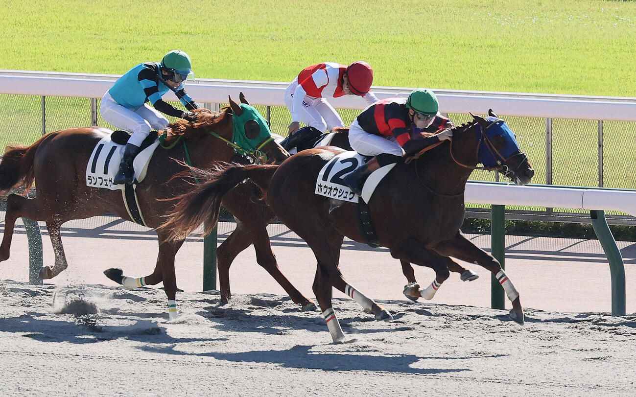 東京1R、2歳未勝利戦を制したホウオウシュウとアレクシ・プーシャン騎手（撮影・丹羽敏通）