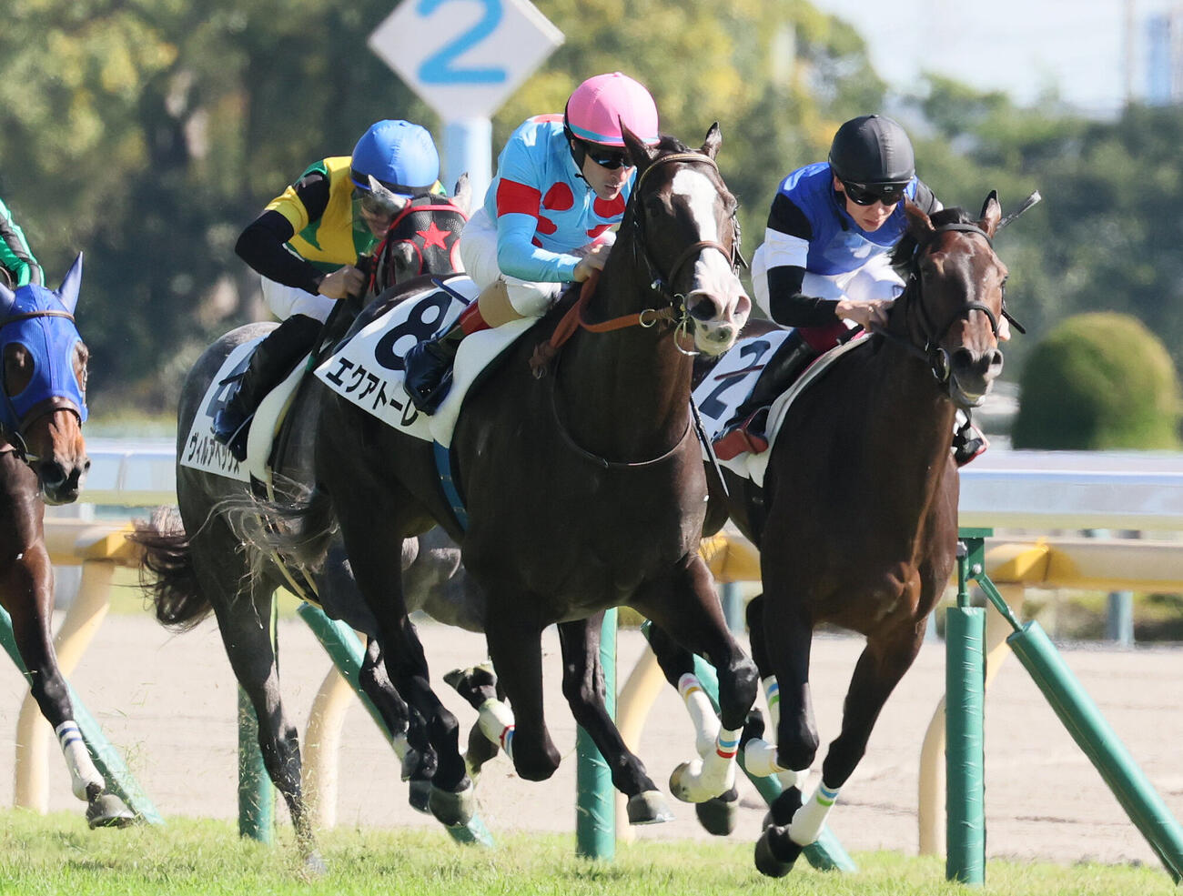 東京5R、2歳新馬戦を制したエクアトーレとクリストフ・ルメール騎手（左）（撮影・丹羽敏通）