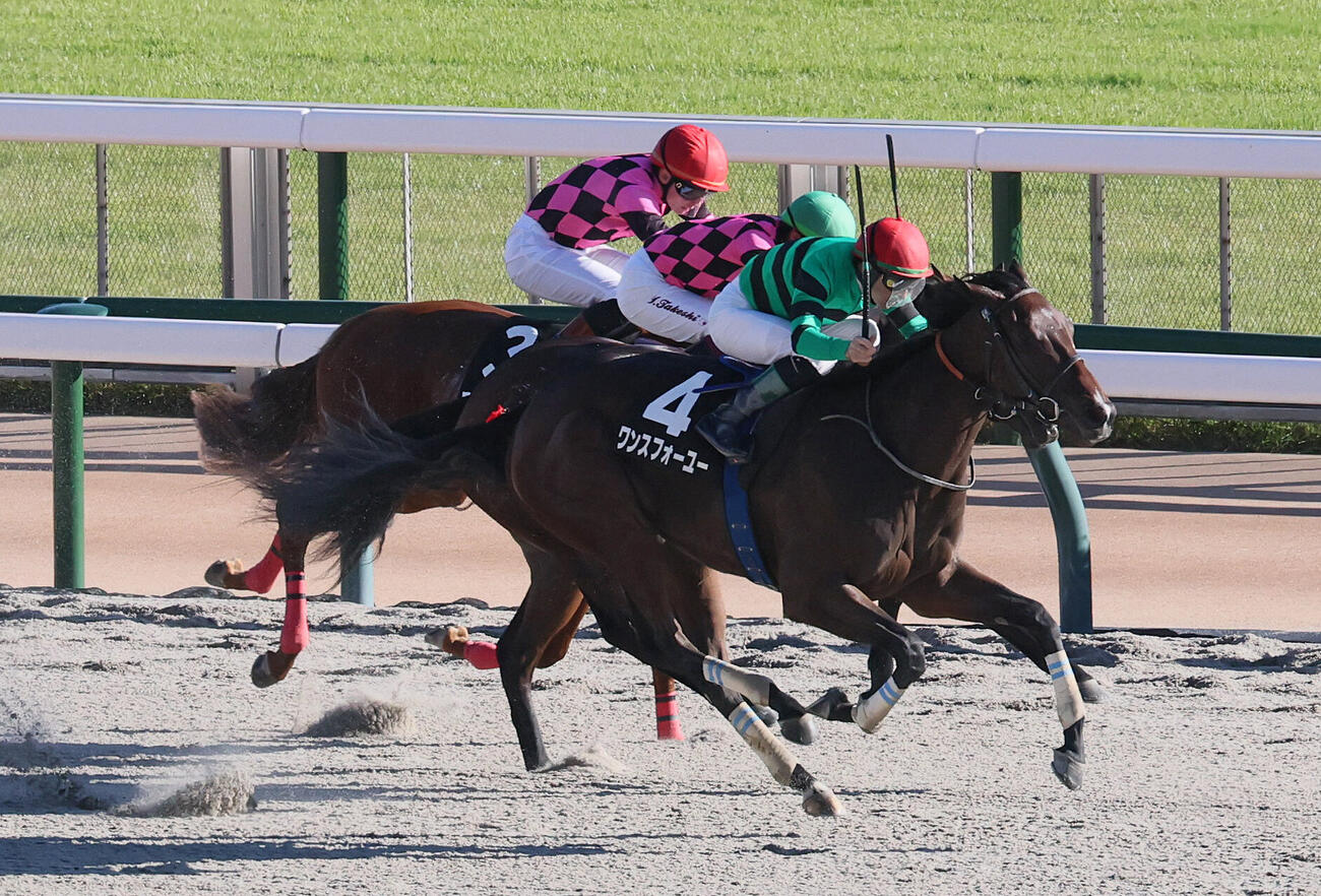 東京9R、オキザリス賞を制したワンスフォーユーとクリストフ・ルメール騎手（撮影・丹羽敏通）
