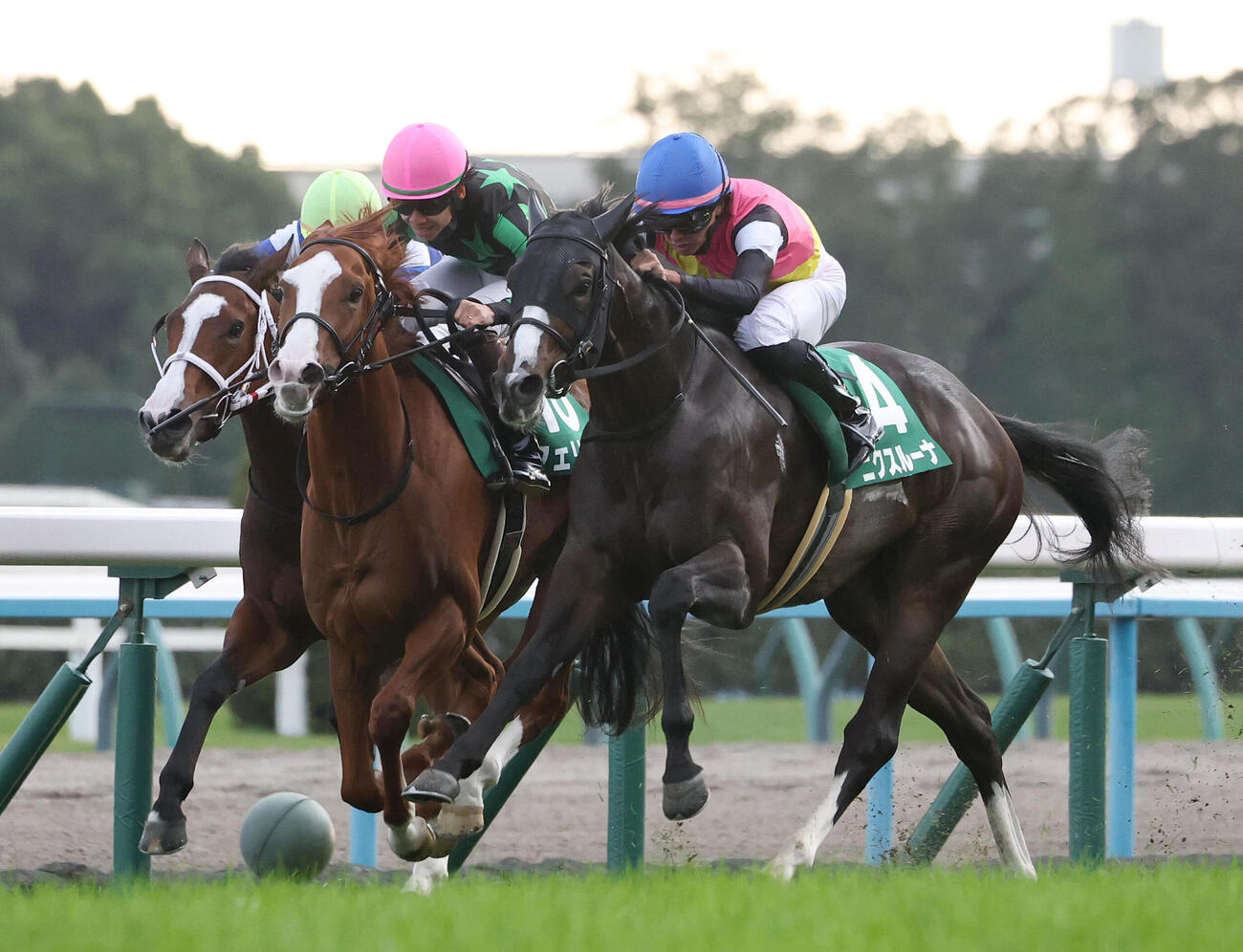 京都11R、フェリチタ（中央）との競り合いを制しファンタジーSを勝利したニクスルーナ（撮影・白石智彦）