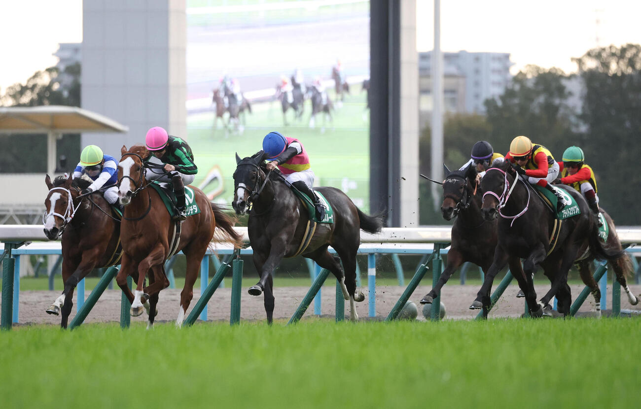京都11R、フェリチタ（左から2頭目）との競り合いを制しファンタジーSを勝利したニクスルーナ（撮影・白石智彦）