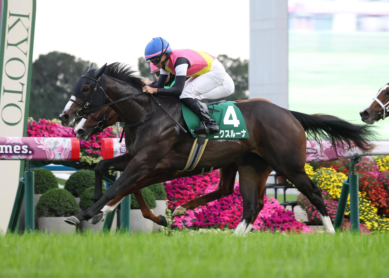 京都11R、フェリチタ（奥）との競り合いを制しファンタジーSを勝利したニクスルーナ（撮影・白石智彦）