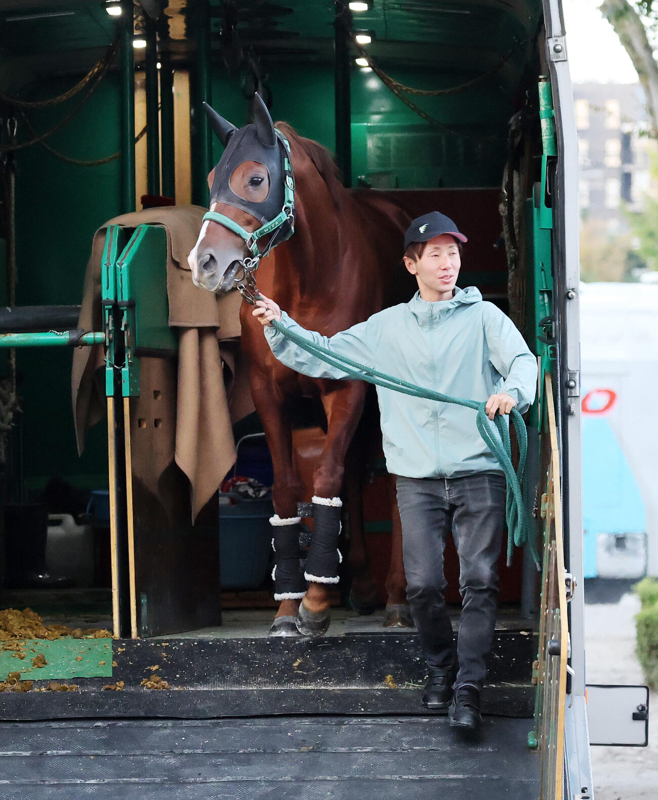 東京競馬場に到着したシェイクユアハート（撮影・鈴木正人）