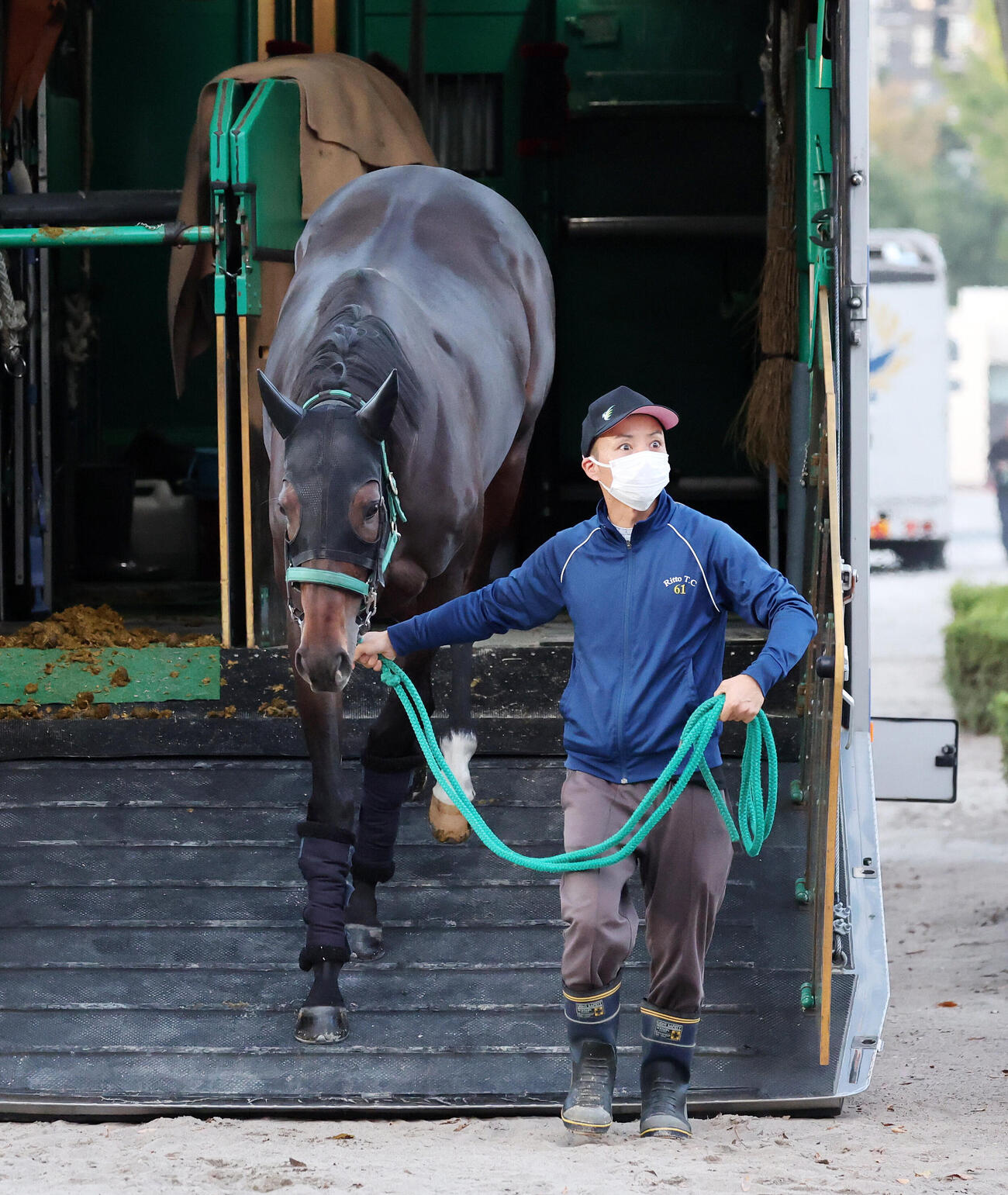 東京競馬場に到着したタガノデュード（撮影・鈴木正人）
