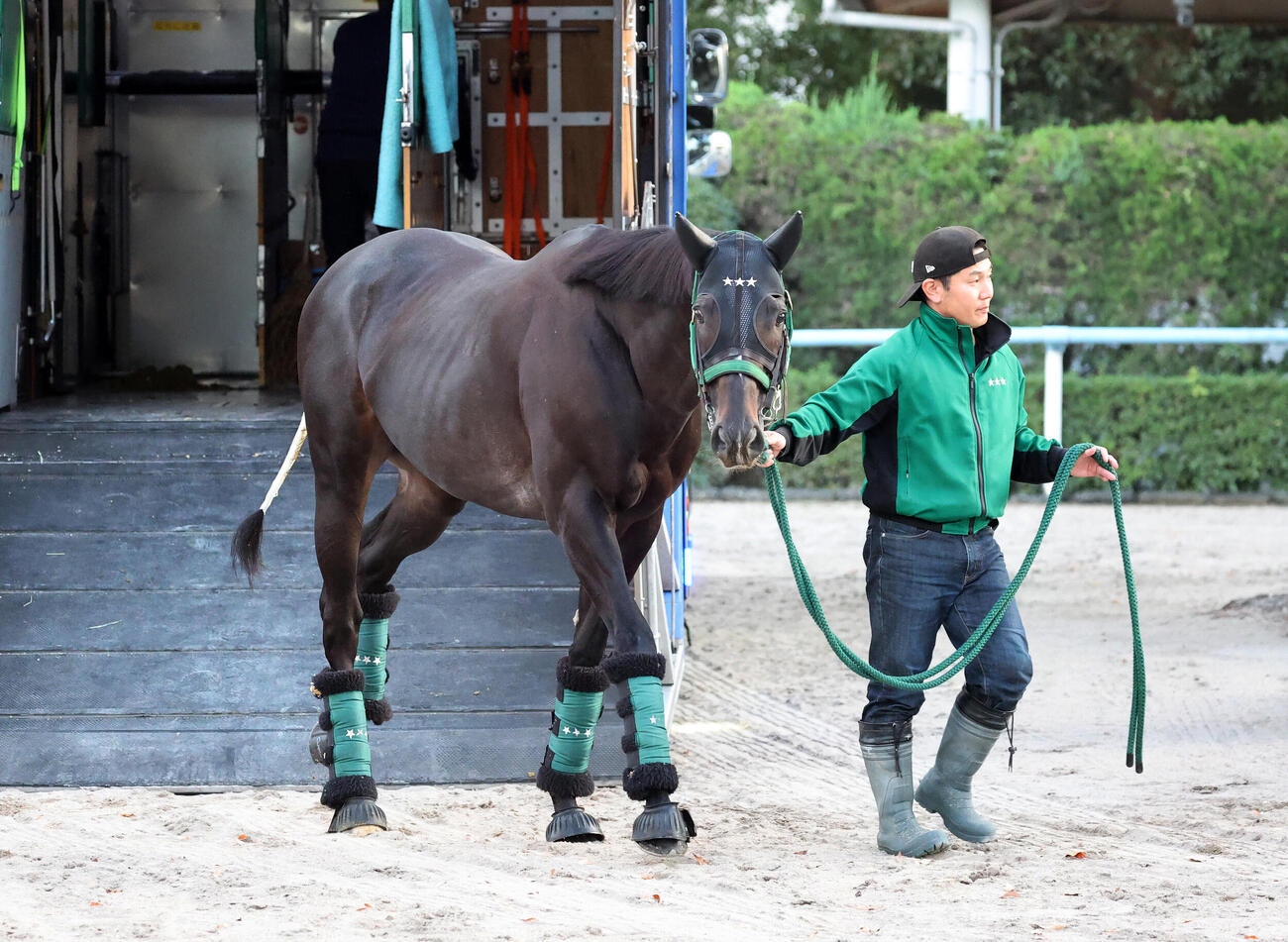 東京競馬場に到着したセイウンハーデス（撮影・鈴木正人）
