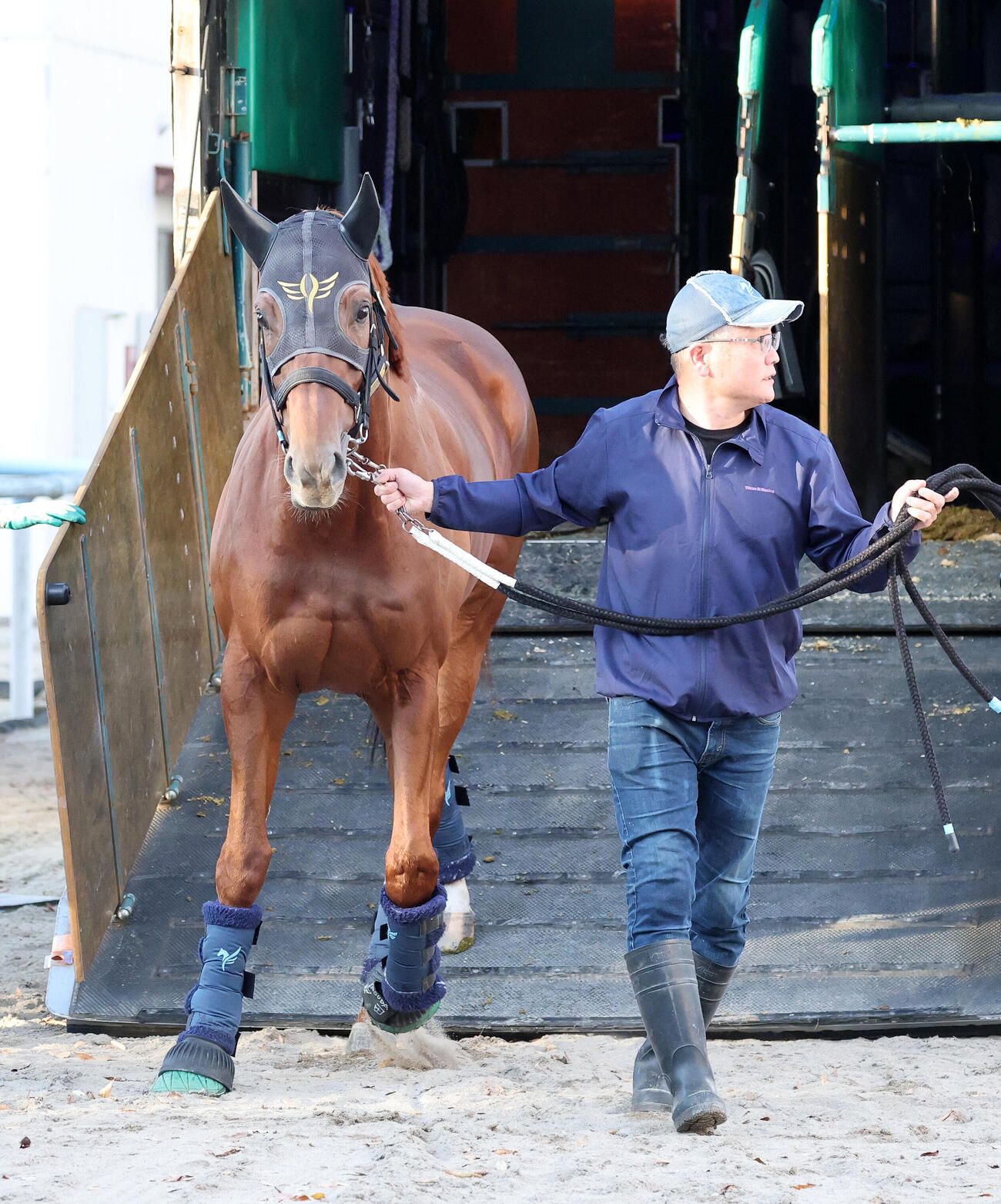 東京競馬場に到着したダノンデサイル（撮影・鈴木正人）