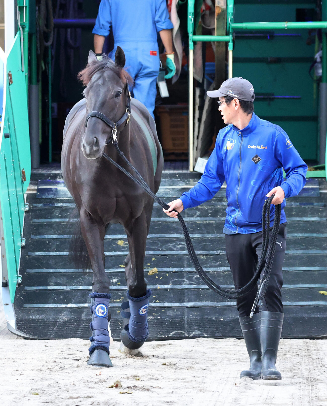 東京競馬場に到着したクロワデュノール（撮影・鈴木正人）