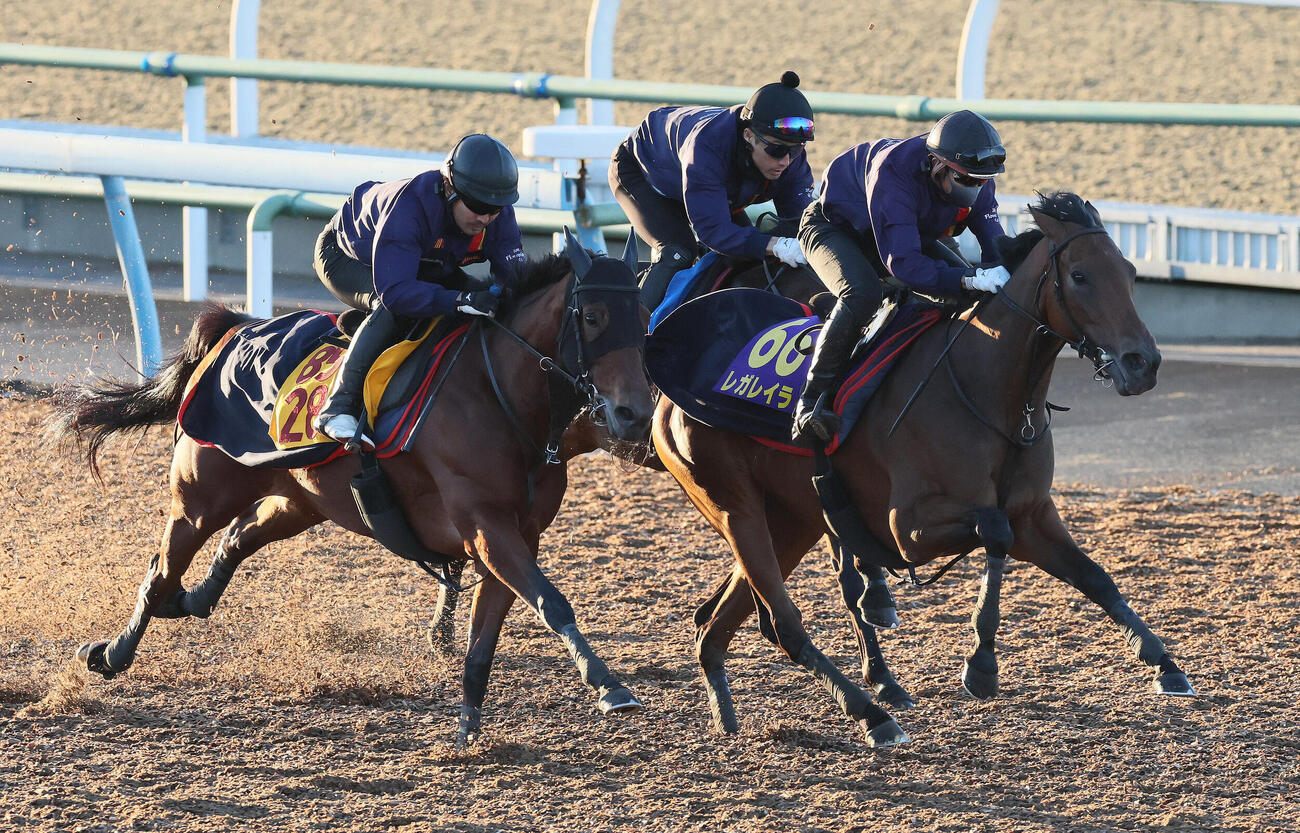 28日、レガレイラ（中央）は美浦ウッドを3頭併せで追い切られた