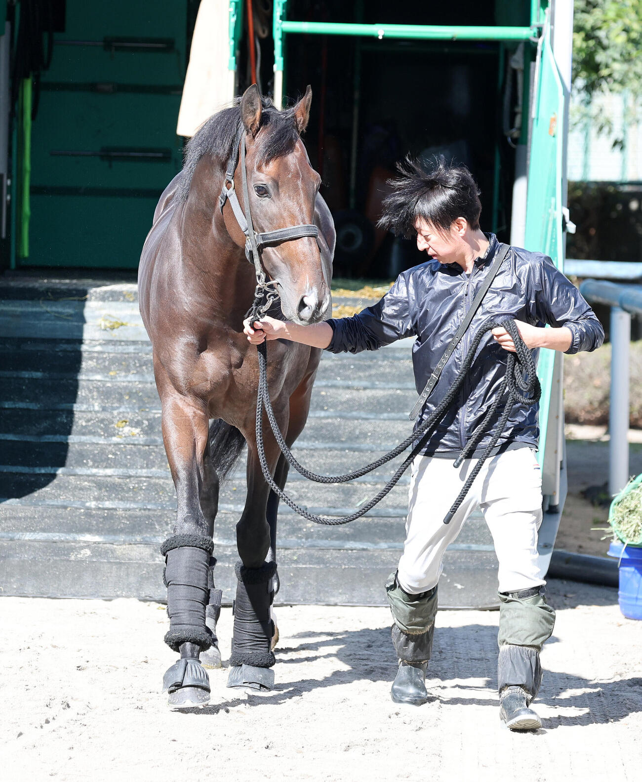 東京競馬場に到着したネブラディスク（撮影・鈴木正人）