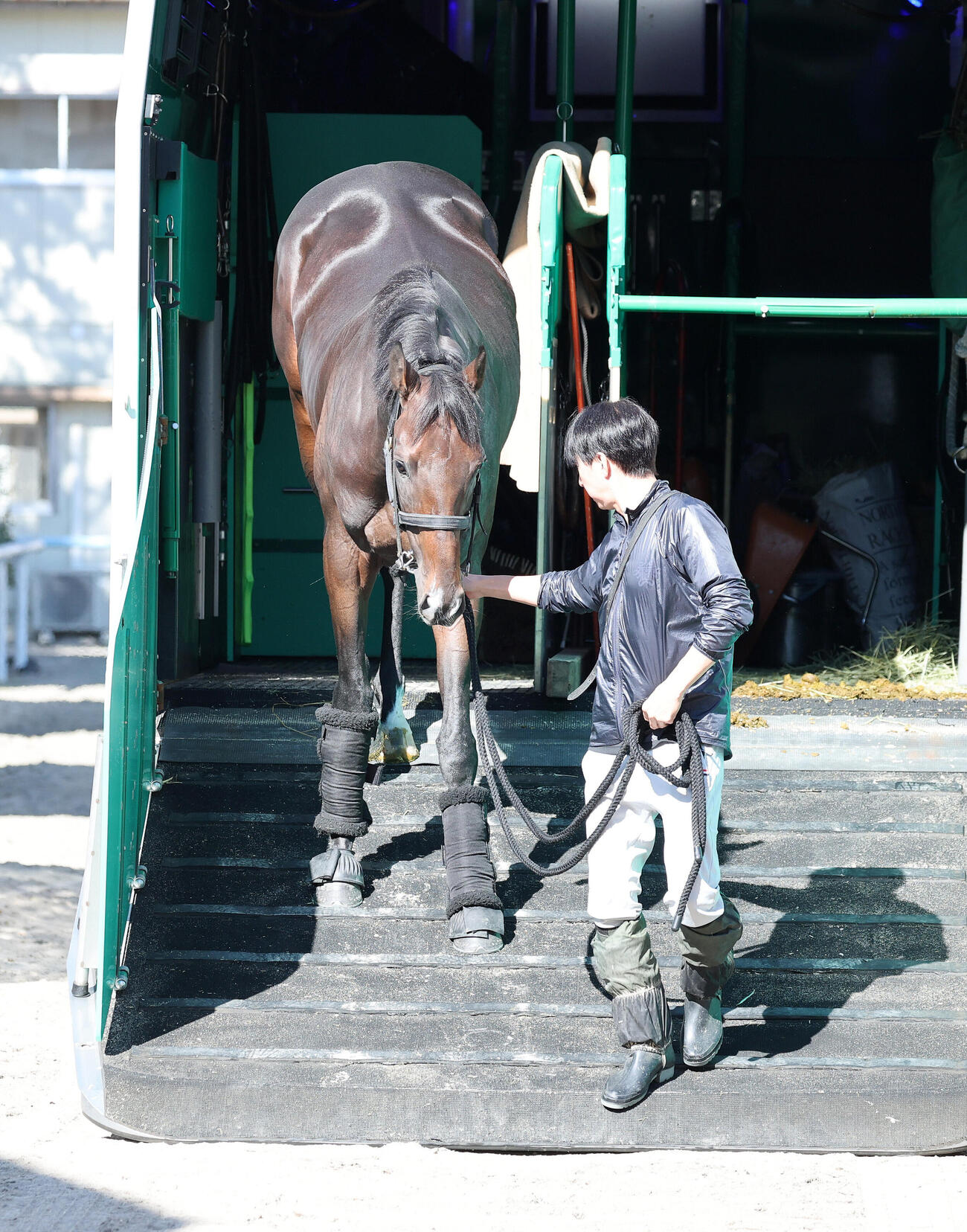 馬運車から降りてくるネブラディスク（撮影・鈴木正人）