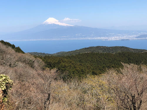 達磨山からの富士山の眺め