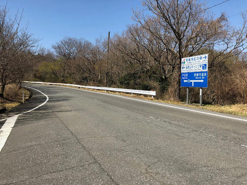道幅の広い片側一車線の道路にぶちあたり、ここを上って行く