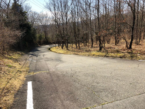 林道のような狭い道の上り