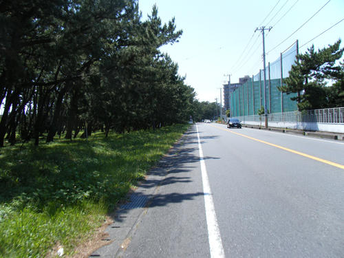 午後１時２０分、沼津付近は左手に松林が広がっている