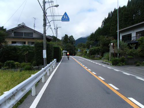 のどかな風景が続いていく