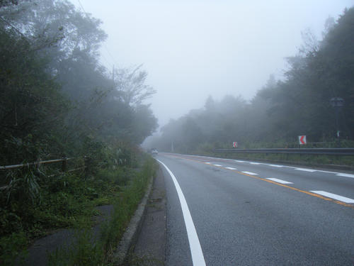 霧の朝霧高原
