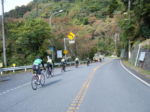 山北町都夫良野付近を走るトレイン