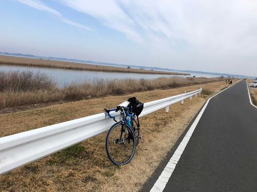 午前11時33分、霞ケ浦 浮島湿原前