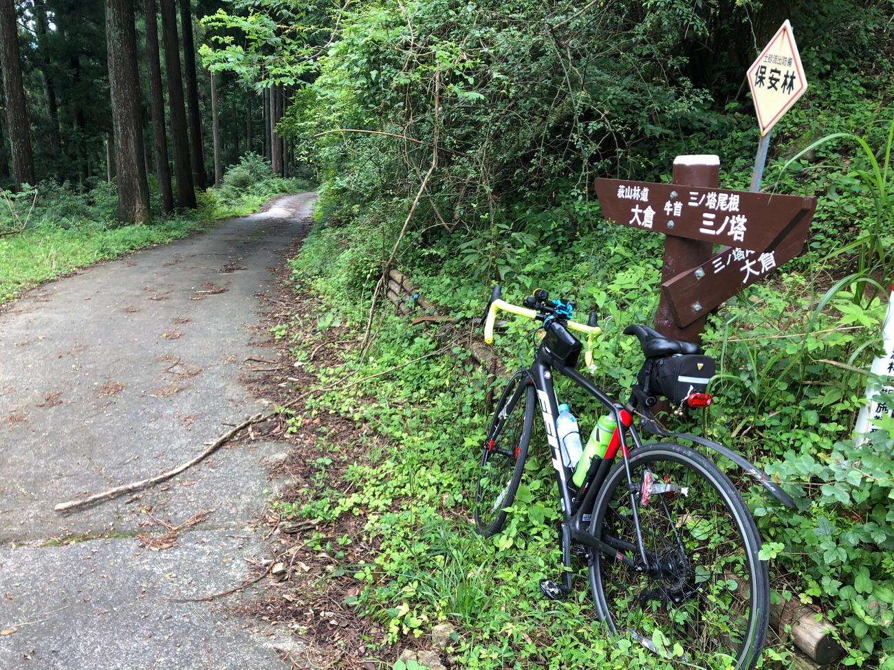 萩山林道のピーク付近